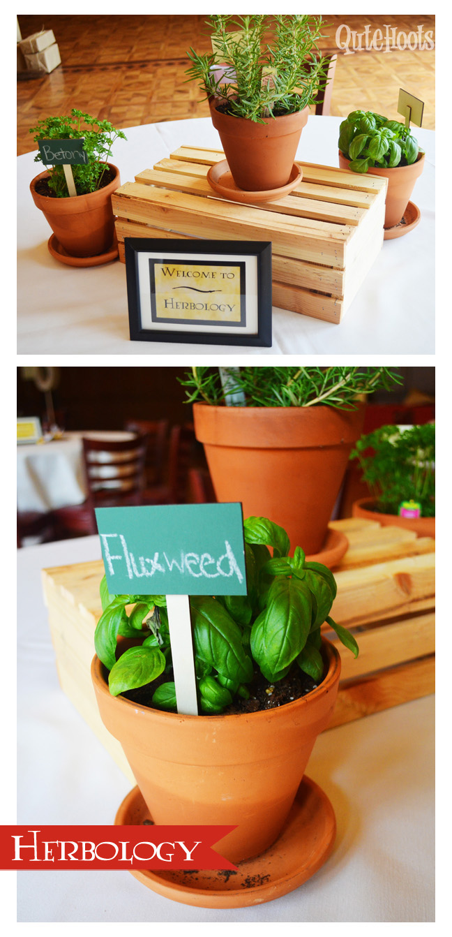 harry potter herbology