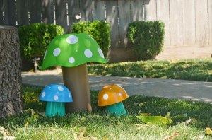 tribal woodland photo area mushrooms